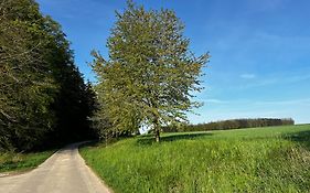 Klosterberghaus - Kontaktloser Check-in